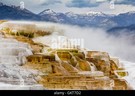 Mammoth Hot Springs, Yellowstone Stockfoto