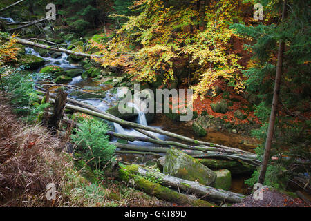 Stream mit umgestürzten Bäumen in der Wildnis der Berge Herbstwald Stockfoto