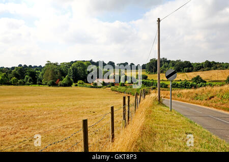 Ein Blick auf die Landschaft im Sommer in South Norfolk in der Nähe von Stoke Holy Cross, Norfolk, England, Vereinigtes Königreich. Stockfoto