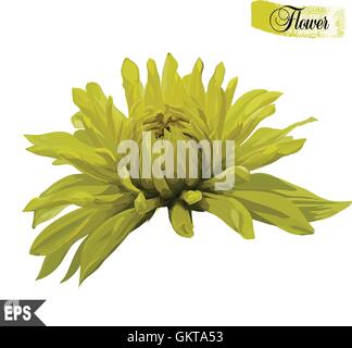 Satz von Blumen, bunte Sammlung mit Blättern Stock Vektor