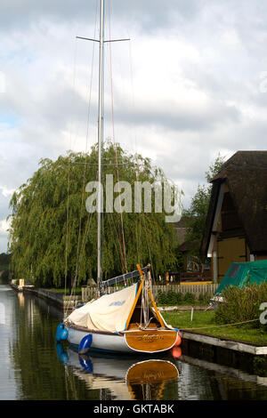 Fluss-Szenen Norfolk Broads England UK Stockfoto