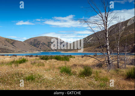 Lake Lyndon, Arthurs Pass, Südalpen, Südinsel von Neuseeland. Korowai-Torlesse Kakapos Park Stockfoto