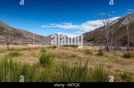 Lake Lyndon, Arthurs Pass, Südalpen, Südinsel von Neuseeland. Korowai-Torlesse Kakapos Park Stockfoto