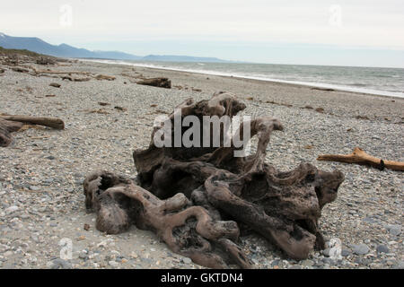 Totholz erstreckt sich den Sandstrand in der Nähe von Ship Creek-Mündung in der West Coast Region of New Zealand. Stockfoto