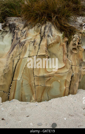 Eindrucksvoll strukturierte Sandsteine decken den Sandstrand in der Nähe von Ship Creek-Mündung in der West Coast Region of New Zealand. Stockfoto