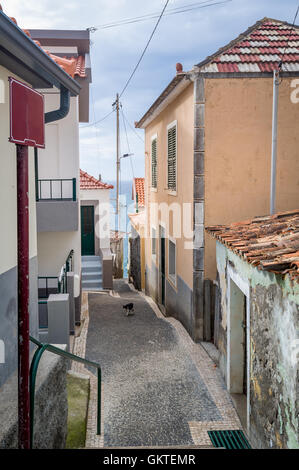 Alte Gasse von Paul do Mar Stadt, führt auf den Ozean, die Insel Madeira. Stockfoto