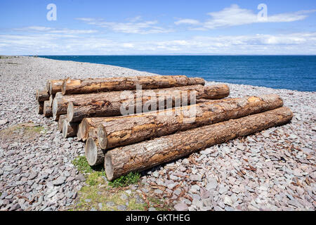 Holz anmeldet Kiesstrand entfernt neben dem Hafen am Rand von Exmoor in Porlock Weir, Somerset UK Stockfoto