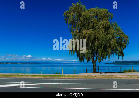 Lake Taupo, der größte See flächenmäßig in Neuseeland Stockfoto