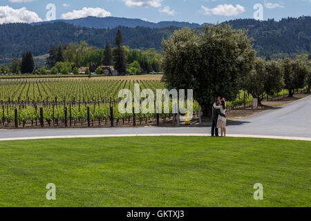 Leute, Paar, Touristen, selfie Foto, Besuch, Opus One Winery, Oakville, Napa Valley, Napa County, Kalifornien, USA, Nordamerika Stockfoto