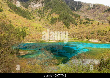 Fünf Blume See in Jiuzhaigou Nationalpark China Stockfoto