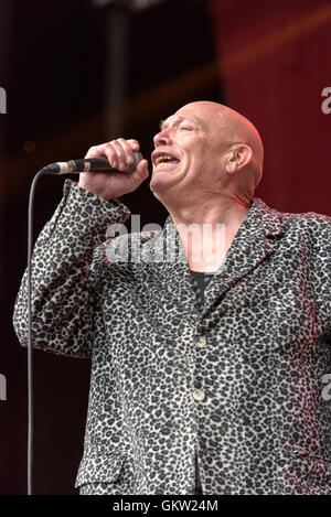 Buster Blutgefäß von schlechten Manieren beim Weyfest, Farnham, Surrey, UK. 20. August 2016. Stockfoto