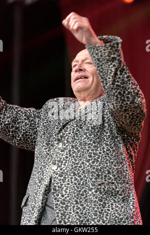 Buster Blutgefäß von schlechten Manieren beim Weyfest, Farnham, Surrey, UK. 20. August 2016. Stockfoto