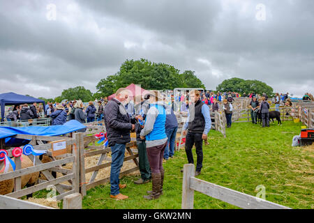 Baden-Baden-Show 2016 Stockfoto