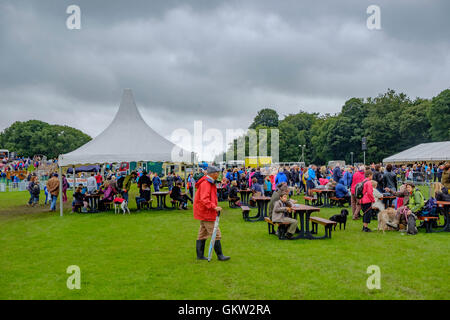 Baden-Baden-Show 2016 Stockfoto