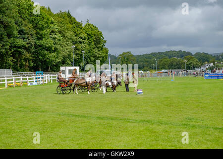 Baden-Baden-Show 2016 Stockfoto