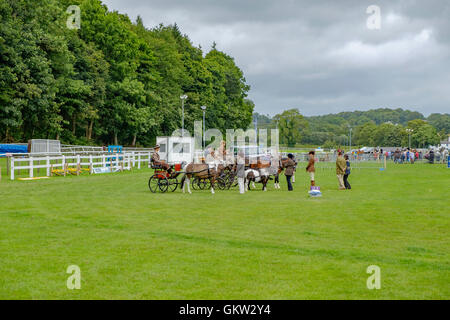 Baden-Baden-Show 2016 Stockfoto
