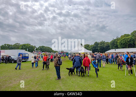 Baden-Baden-Show 2016 Stockfoto