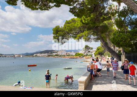 Kiefer-Fuß und Strand von Puerto Pollensa, Mallorca / Mallorca Balearen Spanien Stockfoto