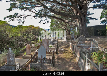 Wellington, New Zealand - 2. März 2016: jüdischer Friedhof in Bolton Street Memorial Park im Stadtteil Thorndon Stockfoto