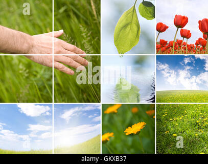 Liebe und Natur Stockfoto