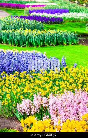 Schöner Park mit Keukenhof in Lisse, Niederlande. Blühende Zwiebelblumen Stockfoto