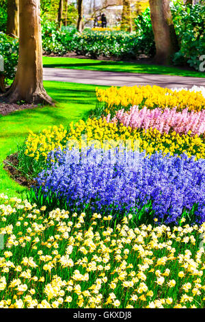 Beautiful Keukenhof floral park,view with colorful tulips,near Lisse,Netherlands. Stockfoto