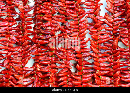 Saiten von PDO Espelette chili Peppers trocknen, Frankreich Stockfoto