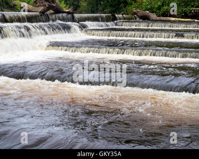 Wehr und Lachs Leiter auf den Fluß Ure bei Boroughbridge North Yorkshire England Stockfoto