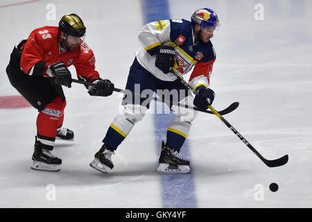 Znojmo, Tschechien. 23. August 2016. Von links: Peter Pucher von Znojmo und Florian Kettemer München in Aktion während der Orli Znojmo Vs EHC Red Bull Munchen Champions Hockey League F Gruppe Spiel in Znojmo, Tschechische Republik, 23. August 2016. © Vaclav Salek/CTK Foto/Alamy Live-Nachrichten Stockfoto