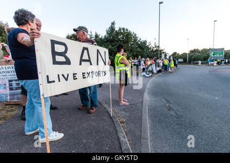 England, Ramsgate. Die Demonstranten top Live Animal Export" durch Kreisverkehr auf viel befahrenen Kreuzung versammelt in Ramsgate und Fährhafen. Banner im Vordergrund und Demonstranten auf der Straße. Stockfoto