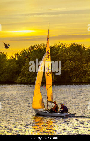 Kleines Segelboot auf dem Water Southport, Merseyside. August 2016. Wetter in Großbritannien: West Lancashire Yacht Club Abendregatta bei Sonnenuntergang mit den Seeleuten, die die leichte Brise nach dem heißesten Tag des Jahres im nordwestlichen Resort genießen. Die spätabendliche Sonne verwandelt den Marine Lake in einen ruhigen Goldenen Teich, während die Seeleute die Strecke bei schwierigen Segelwetterbedingungen beenden. Stockfoto