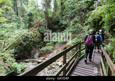 Bonndorf, Deutschland. 13. Juli 2016. Die Lotenbachkamm in der Wutachschlucht Natur behalten in Bonndorf, Deutschland, 13. Juli 2016. Foto: Patrick Seeger/Dpa/Alamy Live News Stockfoto