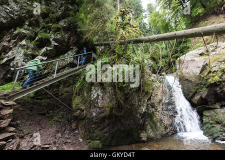 Bonndorf, Deutschland. 13. Juli 2016. Die Lotenbachkamm in der Wutachschlucht Natur behalten in Bonndorf, Deutschland, 13. Juli 2016. Foto: Patrick Seeger/Dpa/Alamy Live News Stockfoto