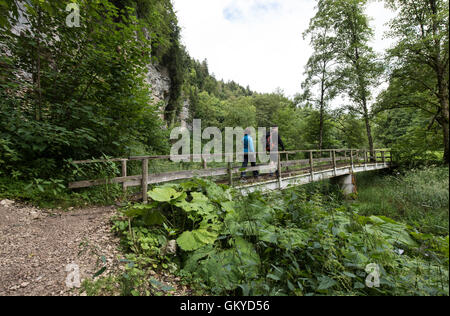 Bonndorf, Deutschland. 13. Juli 2016. Ein Blick auf die Wutachschlucht Natur behalten in Bonndorf, Deutschland, 13. Juli 2016. Foto: Patrick Seeger/Dpa/Alamy Live News Stockfoto