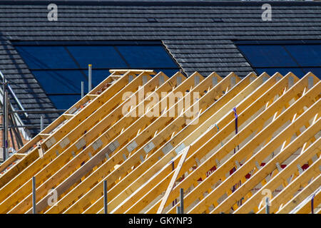 Neubau-Häuser, Dachbinder, technisch gefertigte Balken, Holzrahmenkonstruktionen kurz vor der Fertigstellung, energieeffiziente Häuser in Buckshaw Village, in der Nähe von Chorley, Lancashire, Großbritannien. Stockfoto