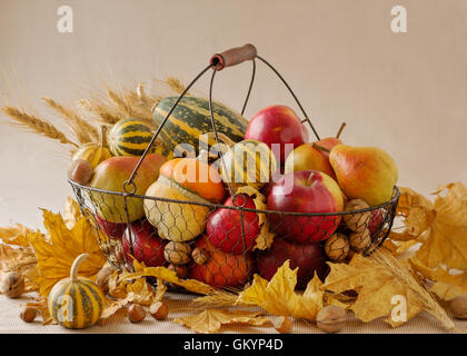 Herbstferien Thanksgiving. Stilleben mit Kürbis und Äpfel, Birnen und Nüssen, Zapfen und Blätter. Stockfoto