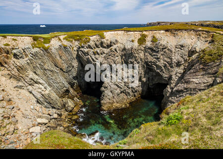 Meer Höhlen im Dungeon Provincial Park in der Nähe von Cape Bonavista, Neufundland und Labrador, Kanada. Stockfoto