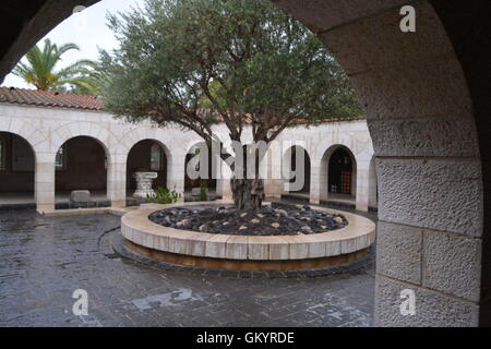 Kirche von der Vermehrung der Brote und der Fische (auch bekannt als die Kirche der Multiplikation) ist eine Kirche in Tabgha Stockfoto