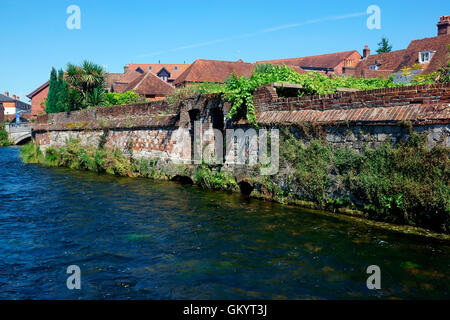 DER FLUSS ITCHEN WINCHESTER, Stockfoto