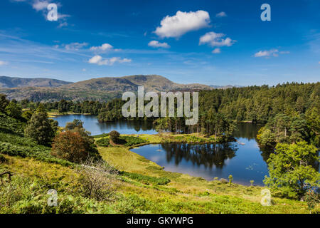 Tarn Hows, in der Nähe von Hawkshead, Lake District, Cumbria Stockfoto