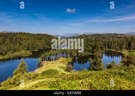 Tarn Hows, in der Nähe von Hawkshead, Lake District, Cumbria Stockfoto