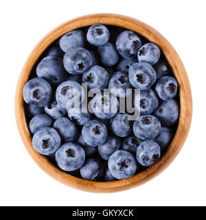 Heidelbeeren in einer Holzschale auf weißem Hintergrund. Dunkel lila farbigen reifen Beeren von Vaccinium Corymbosum. Essbare Früchte. Stockfoto