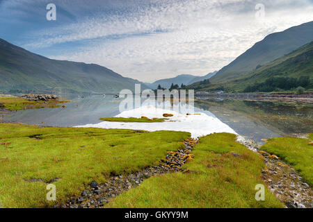 Früh morgens am Loch Duich in den Highlands an der westlichen Küste von Schottland mit einem Teppich aus grünem Queller im Vordergrund Stockfoto