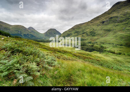 Lebendige grüne Berge und Tal am Glen Etive in den schottischen Highlands Stockfoto