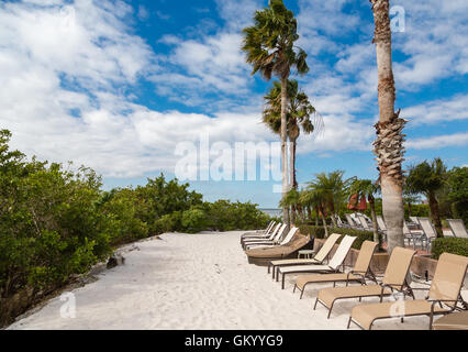 Liegestühle am Sandstrand unter Palmen Stockfoto
