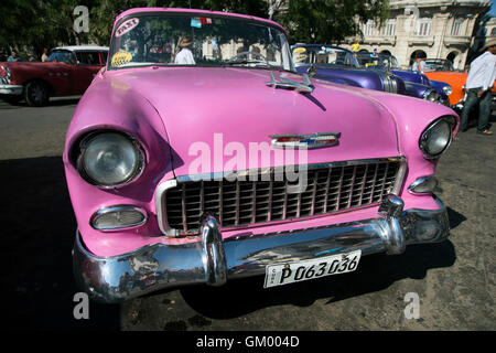 Bunt bemalten alten 50er Jahre amerikanische Autos auf dem Display in Centro Havanna für Touristen, Habana Cuba zu mieten Stockfoto