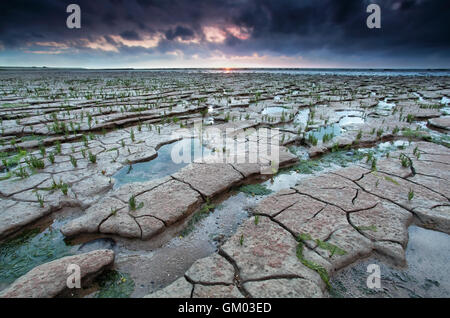 Schlamm am Watten-Meer bei Ebbe geknackt Stockfoto