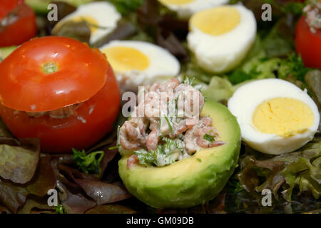 Besetzte Avocados und Tomaten mit Garnelen Salat, Mayonnaise, Eiern und Gewürzen Stockfoto