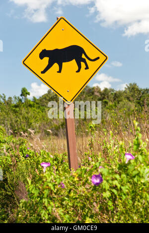 Autobahn-Schild, Panther Kreuzung, Everglades National Park. Stockfoto