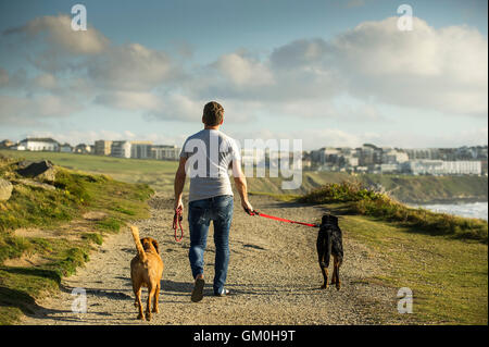 Ein Hund Walker und seine zwei Hunde zu Fuß entlang der Landspitze in Newquay, Cornwall. Stockfoto